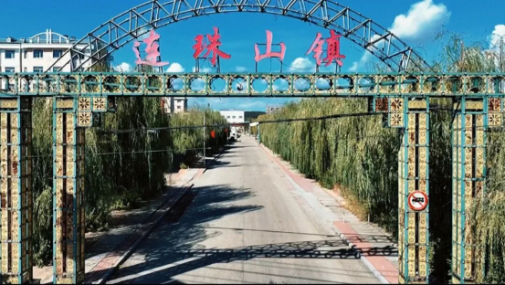 美丽乡村新篇章丨连珠山镇：以比促干绘就乡村宜居新画卷